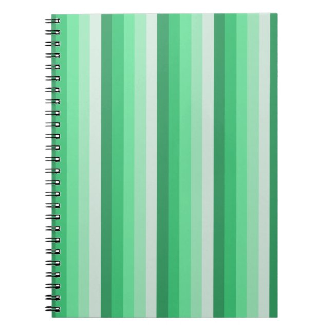 Carnet Green shadow stripes (Devant)