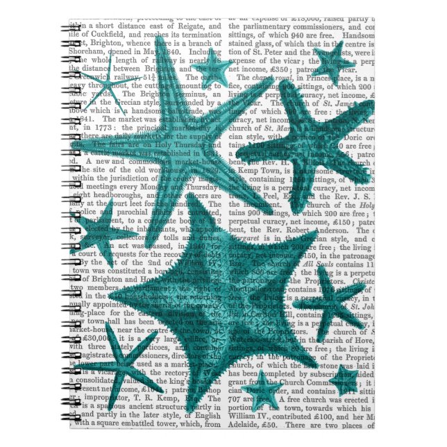 Carnet Green Starfish Collection 2 (Devant)