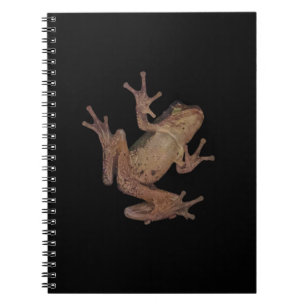 Carnet grenouille