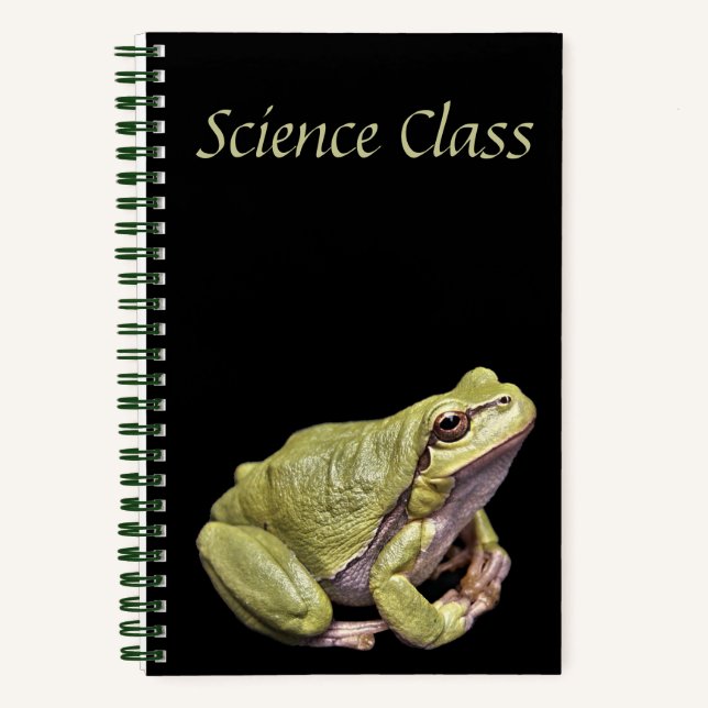 Carnet Grenouille (Recto)