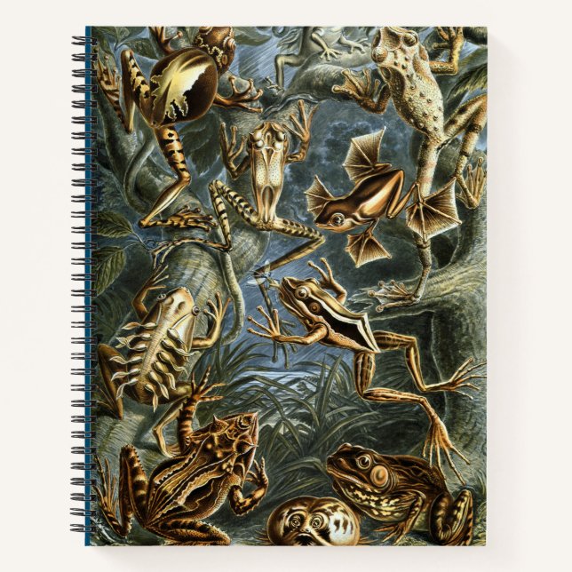 Carnet Grenouille et crapaud Ernst Haeckel vintage (Devant)
