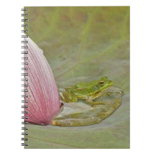 Carnet Grenouille et pétale de fleur de lotus, Chine,
