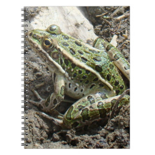 Carnet Grenouille léopard R3