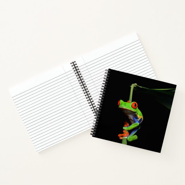 Carnet Grenouille peinte aux yeux rouges (Intérieur)