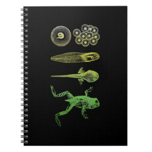 Carnet Grenouille Tadpole Métamorphose Cycle de vie Biolo