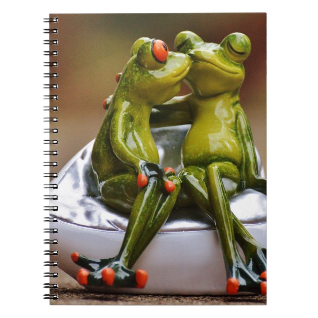 Carnet Grenouilles Heureuses (Devant)