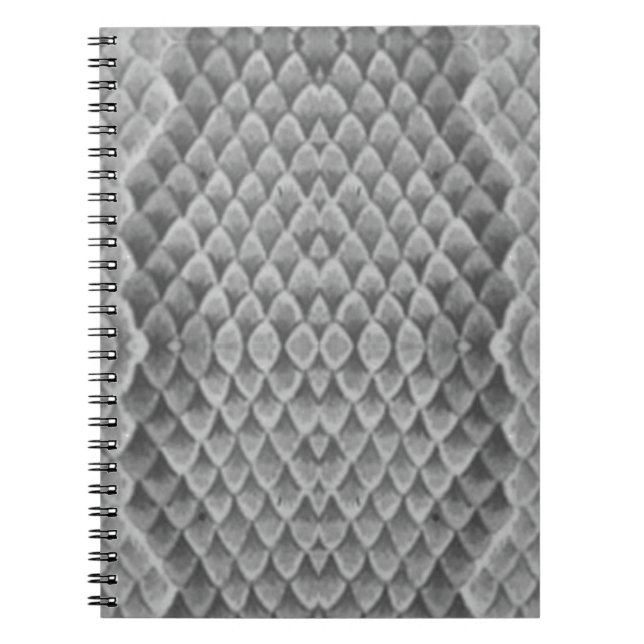 Carnet Grey Snakeskin (Devant)