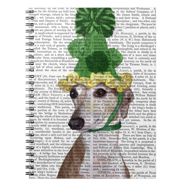 Carnet Greyhound en vert Casquette tricoté 2 (Devant)