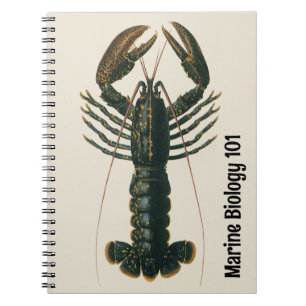 Carnet Griffes de homard Vieille vie marine océan crustac