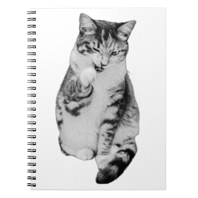 Carnet Groom quotidien (Devant)