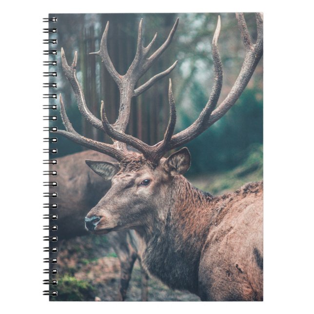 Carnet Gros cerf Brown avec gros colliers (Devant)