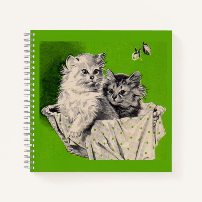 Carnet gros chaton petit chaton (Devant)
