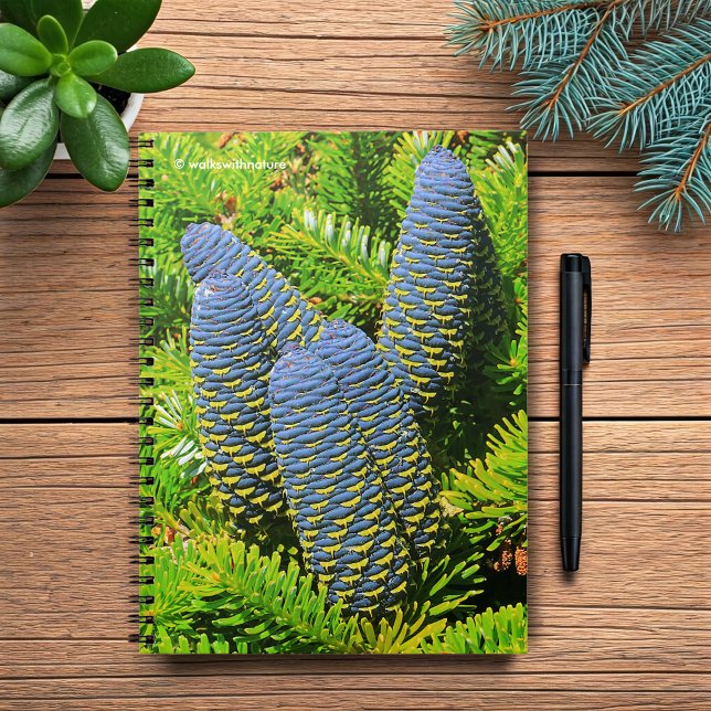 Carnet Gros cônes de sapin coréen bleu (Big Blue Korean Fir Pinecones Journal Cover Photo)