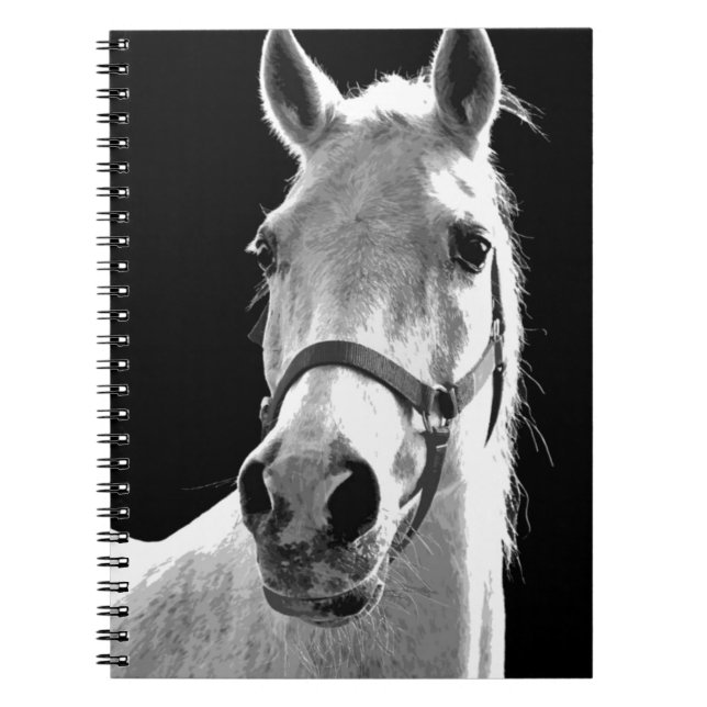 Carnet Gros plan Cheval noir et blanc la nuit (Devant)