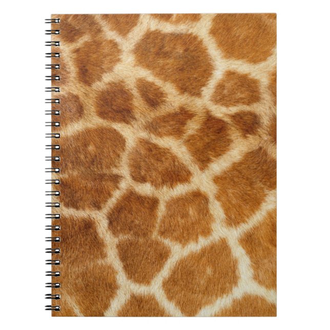 Carnet Gros plan, Cheveux, Spots (Devant)