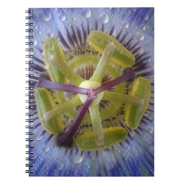 Carnet Gros plan de fleur de la passion couverte de rosée (Devant)