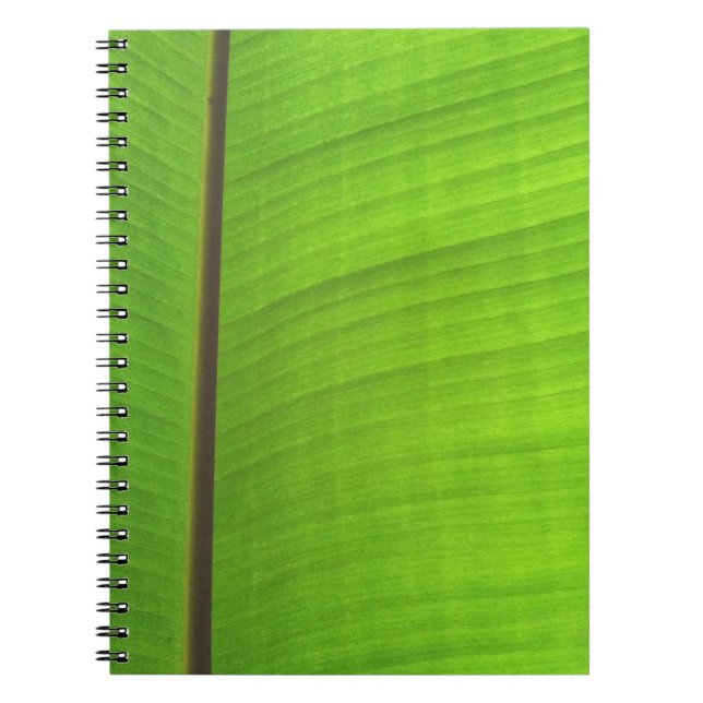 Carnet Gros plan de la feuille de banane (Devant)