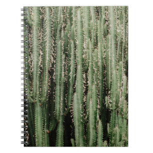 Carnet Gros plan du plante de cactus vert