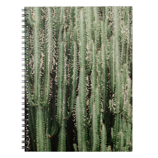 Carnet Gros plan du plante de cactus vert (Devant)