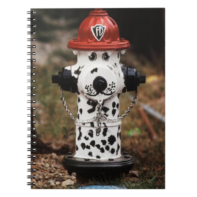 Carnet Gros plan d'une borne d'incendie (Devant)