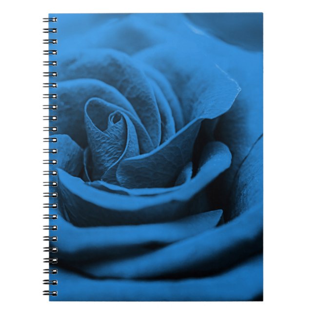 Carnet Gros plan rose bleue rouge, macro beauté. (Devant)