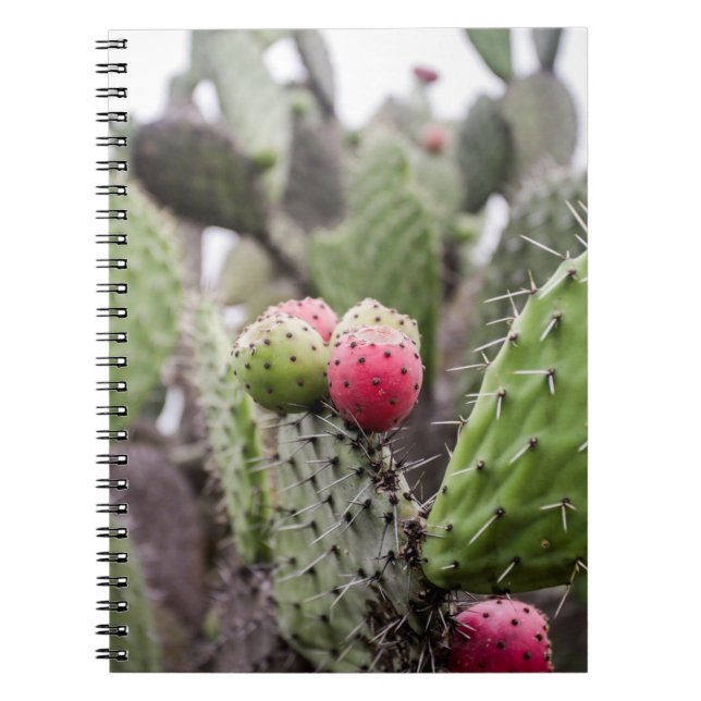 Carnet Gros plan sur le cactus de figue de barbarie (Devant)