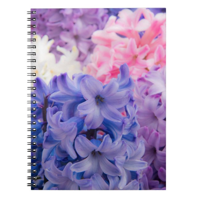 Carnet Gros plan sur une plante de jacinthe (Devant)