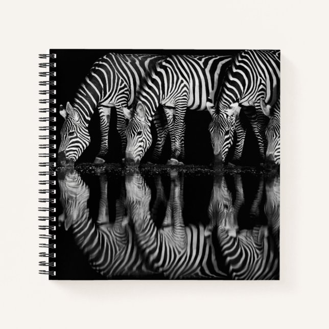 Carnet Group of Plains Zebra Drink Together at Night (Devant)
