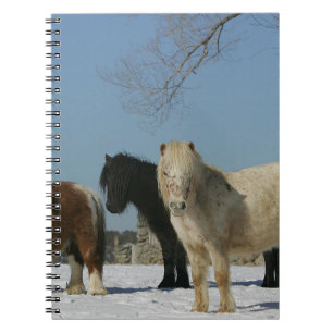 Carnet Groupe de chevaux miniatures dans la neige