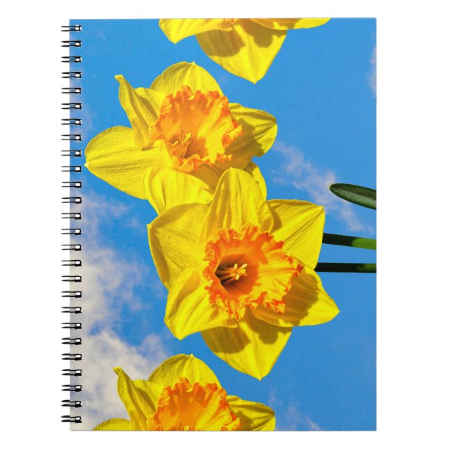 Carnet Groupe de Daffodils Médaille d'or Fleurs (Devant)
