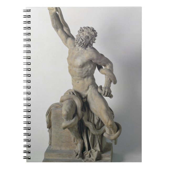 Carnet Groupe de Laocoon sans fils, XVIIème siècle (marb (Devant)