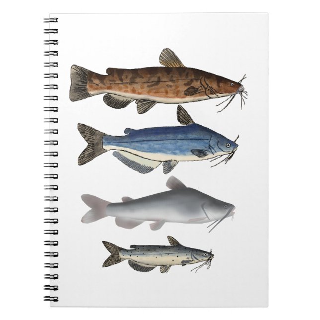 Carnet Groupe de poissons de l'Amérique du Nord (Devant)