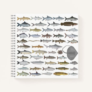 Carnet Groupe de poissons d'eau douce d'Asie du Sud