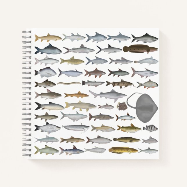 Carnet Groupe de poissons d'eau douce d'Asie du Sud (Devant)