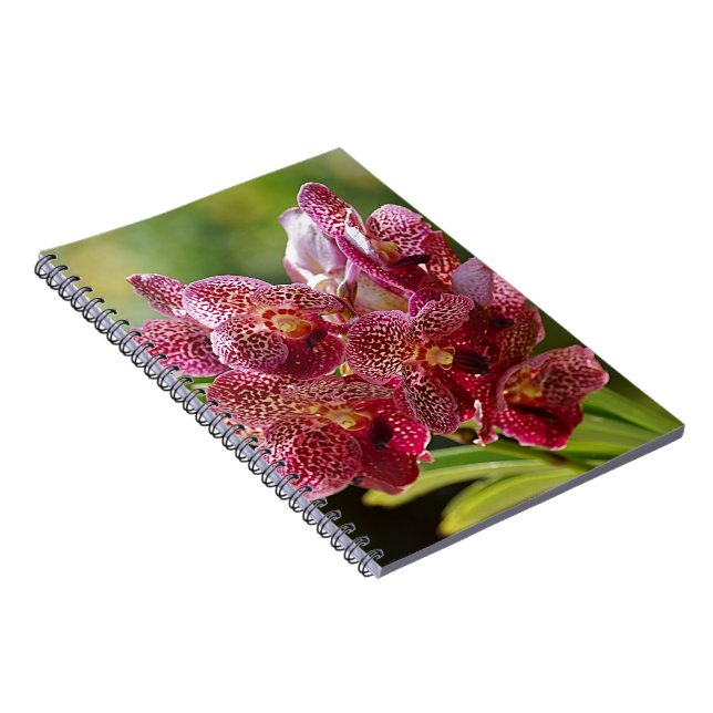 Carnet Groupe tropical d'orchidée de Vanda (Côté Droit)
