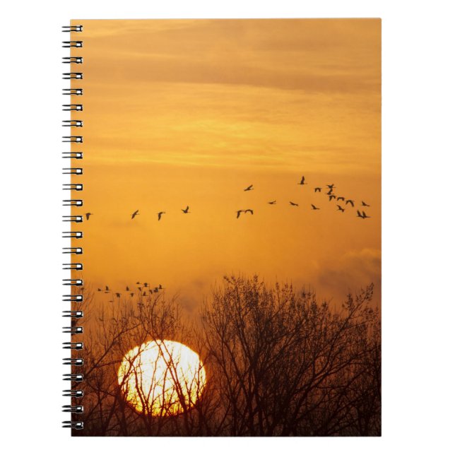 Carnet Grues du Canada silhouettées sur fond de soleil le (Devant)
