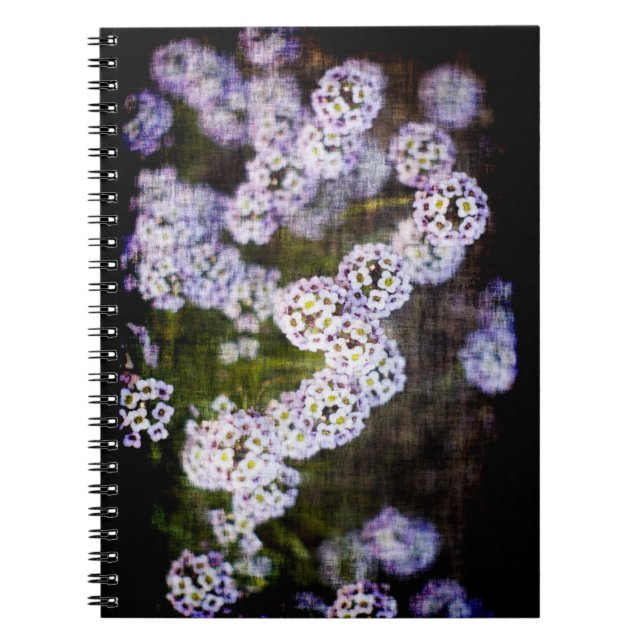 Carnet Grungy Sweet Alyssum (Devant)