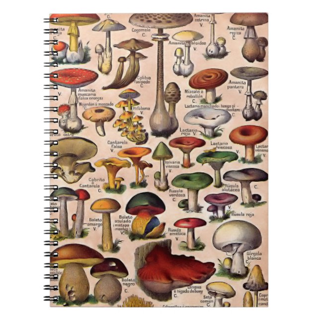 Carnet Guide vintage de champignon (Devant)