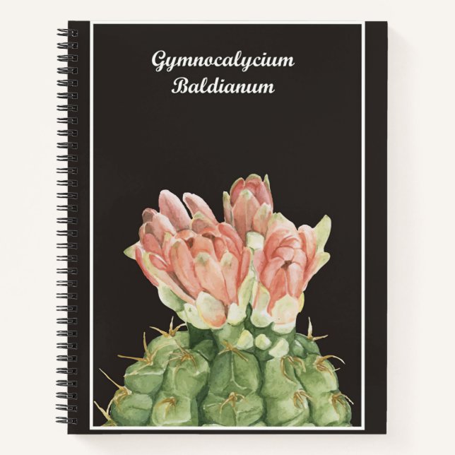 Carnet Gymnocalycium Baldianum Cactus (Devant)