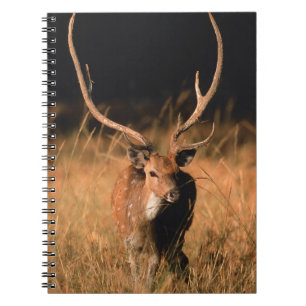 Carnet Habitat naturel du chital Parc national de Bandh