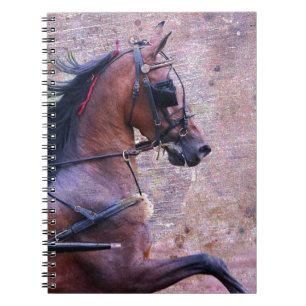 Carnet Hackney Grunge