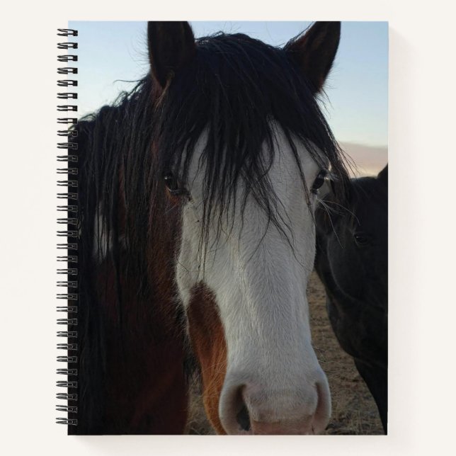 Carnet Hair in the Eyes Spiral Notebook (Devant)
