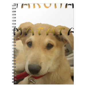 Carnet Hakuna Matata Je sais ce que vous pensez pinctur