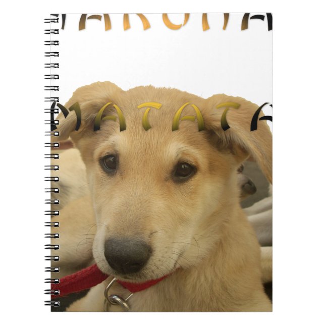 Carnet Hakuna Matata Je sais ce que vous pensez pinctur (Devant)