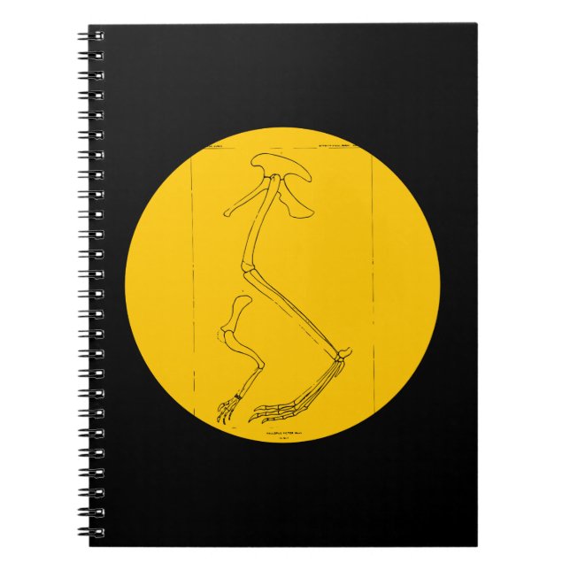Carnet Hallopus Victor (Devant)