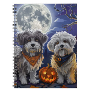Carnet Halloween Havanais Éffrayant