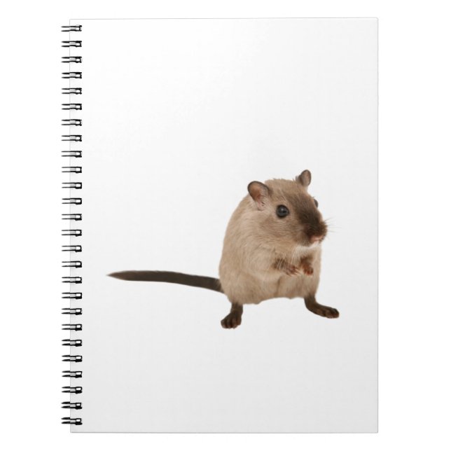 Carnet hampster mignon (Devant)