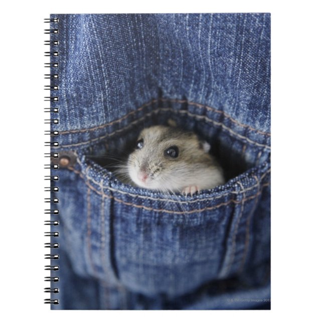 Carnet Hamster dans la poche (Devant)
