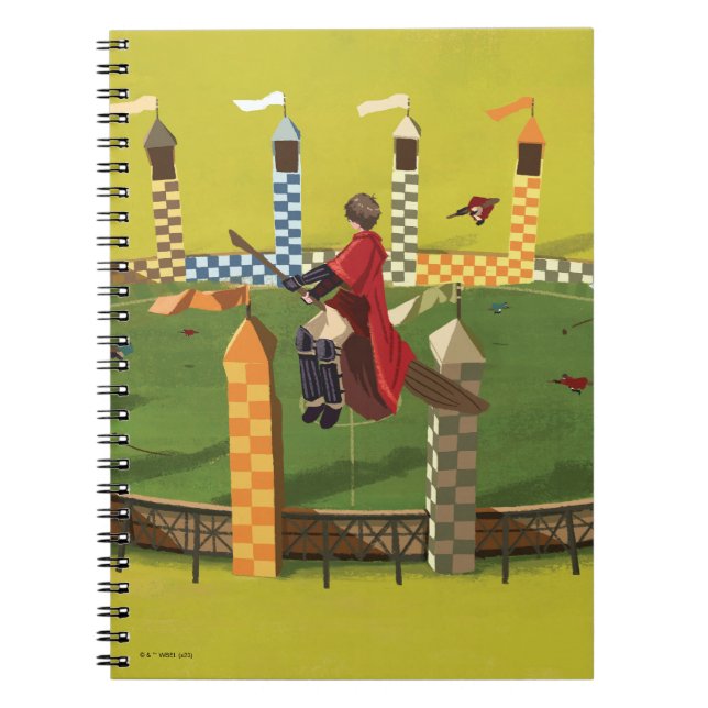 Carnet HARRY POTTER™ À la recherche du Vif d'or (Devant)