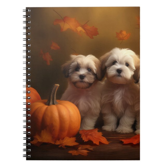 Carnet Havanais chiot automne ravi Citrouille (Devant)